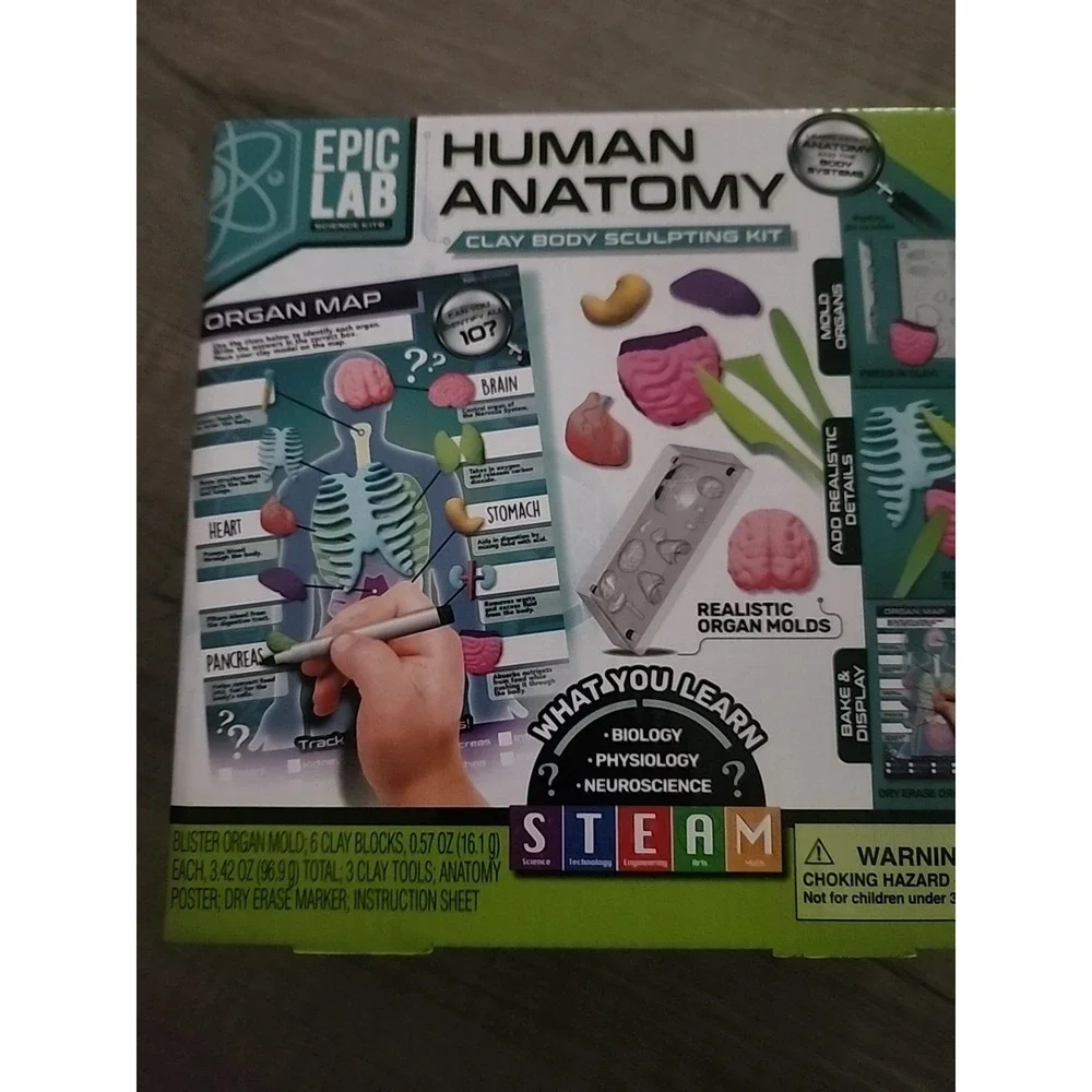Epic Lab Science Kit - Human Anatomy Body Clay Sculpting Kit Homeschool School